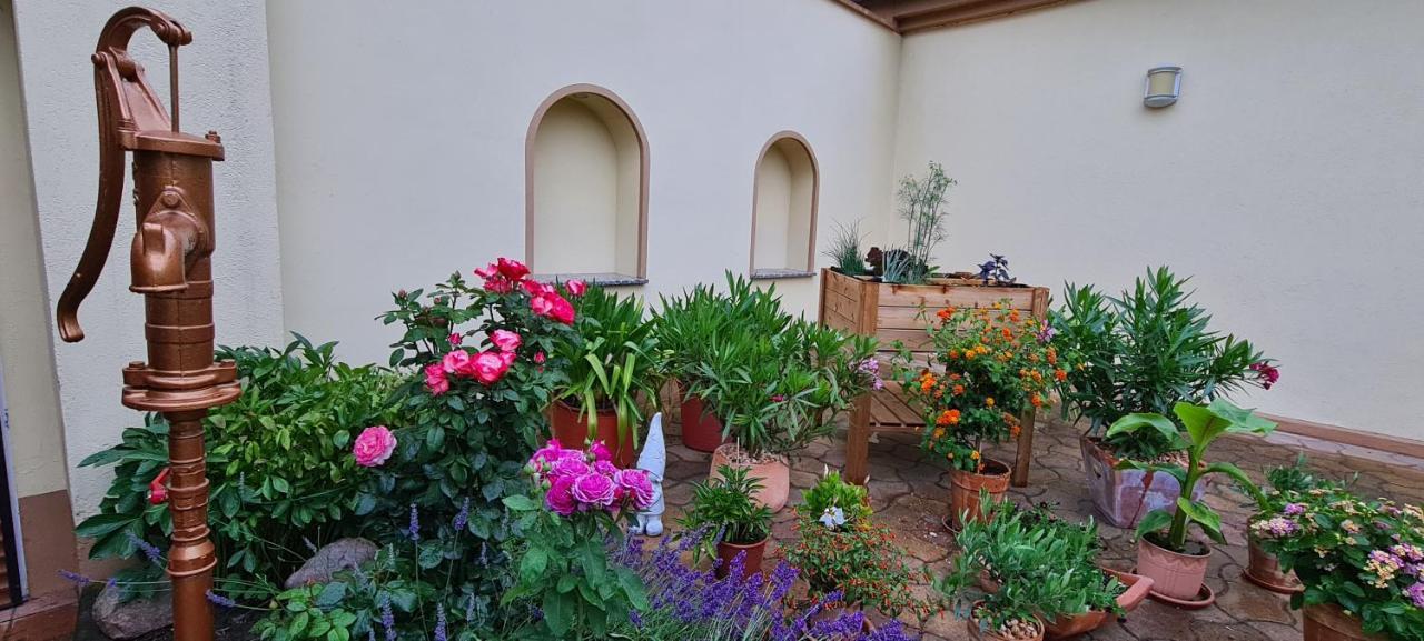 Die Ferienwohnung "Am Kietz" Schwedt Bagian luar foto